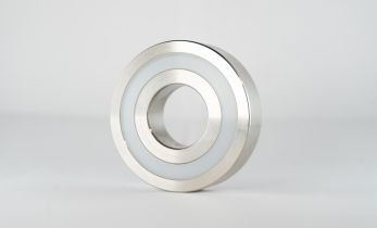 316 stainless steel ball bearings for corrosive environments